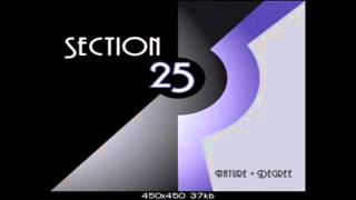 Section 25 - l'arte du math