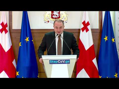 გადაწყდა, რომ ხვალიდან სრულად წყდება საჰაერო  მიმოსვლა - ჩიქოვანი