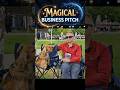 Magical Business Pitch ( Sales Pitch) #businesspitch #salespitch