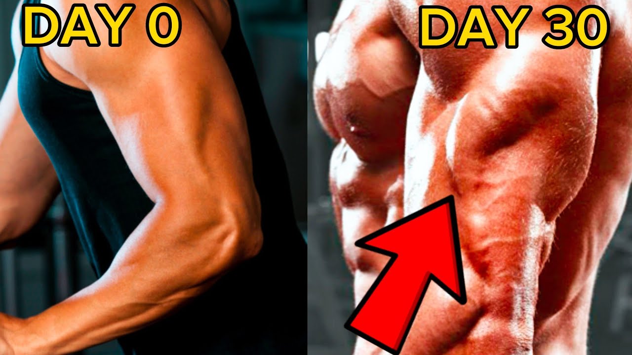 Triceps workout at home without equipment triceps workout at home 🔥