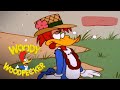 Woody Falls for a Travel Scam | Woody Woodpecker