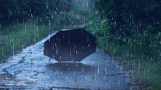 Relaxing Sound of Rain on Umbrella in a Forest | Help Sleep, Study, Meditation, PTSD
