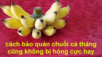 CÓ THỂ BẠN CHƯA BIẾT, làm thể nào để CHUỐI  được  rất lâu  không bị hỏng?