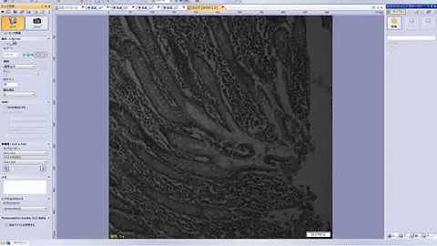 Japanese - Using the Evolve Delta in CellSens software