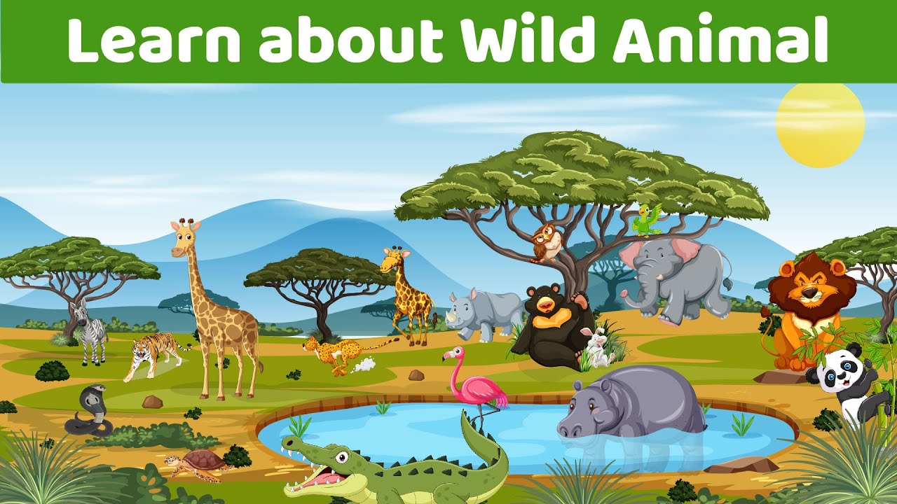 Learn about Wild Animals and Birds II Jungle Animals for Kids II Wild ...