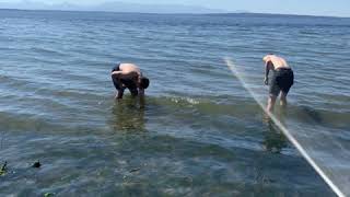 Vídeo de Puri Kura