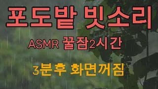 포도밭 폭우,RainSounds,수면유도,ASMR,3분후 어두운화면.