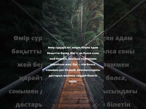 Бейне: Өмір туралы жақсы дәйексөздер. Өмір туралы мағынасы бар ұлы адамдардың дәйексөздері