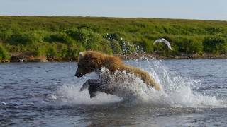 Running Wild: Return to the River (Official Trailer)