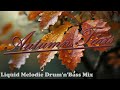 Слёзы Осени Autumn Tears Liquid Melodic D N B Mix