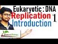 DNA replication in eukaryotes 1 | Introduction