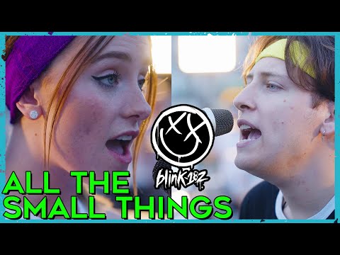 All The Small Things - Blink-182