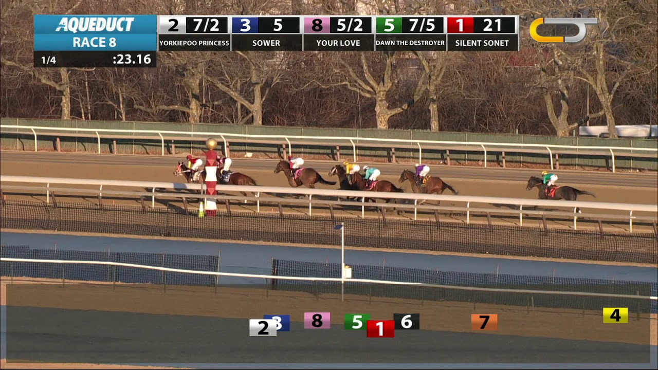 horse racing news Dawn the Destroyer - 2019 - The Interborough Stakes en Espanol