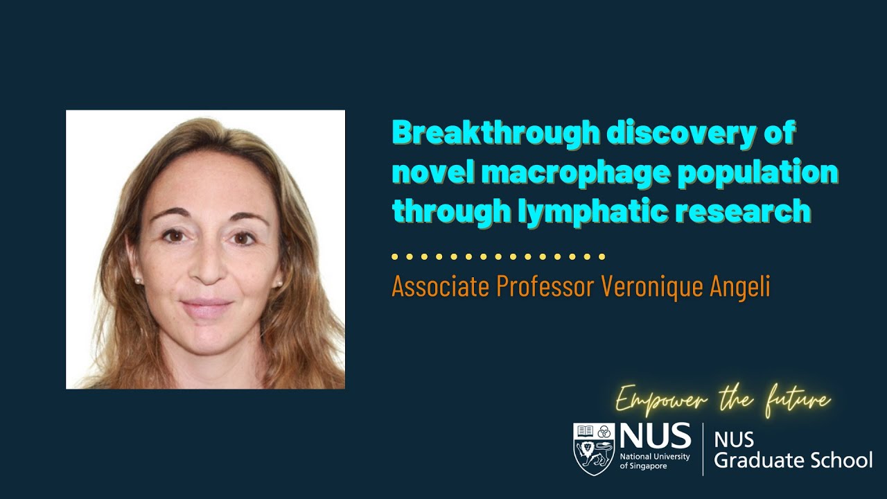 Breakthrough discovery of novel macrophage population through lymphatic research