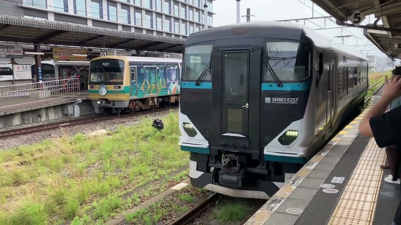 2026年7月4日 三島駅に入線する特急踊り子号 - YouTube