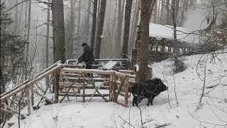 СПАСЕНИЕ от снежной бури в ЗЕМЛЯНКЕ | Дружба с диким зверем | Бушкрафт | Bushcraft.