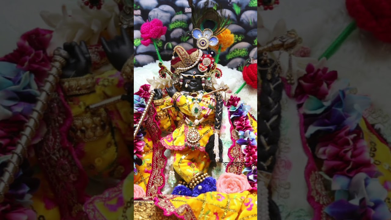 Radha Radha 🙏💐#ytshortsvideo #radheshyam #radheradhe #parmanandji #gurudev #jaishrikrishna