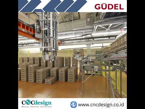 Güdel Gantry For Logistic Application