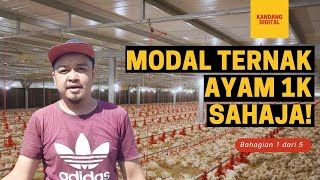 Bajet 1k ternak Ayam : Bahagian 1