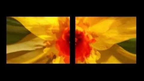 Displacement 1 2007 - Andrew Williams