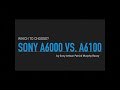 Sony a6000 vs. the Sony a6100.  I also talk about the 4 kit lenses available