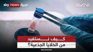 كيف نستفيد من الخلايا الجذعية؟ | الصباح