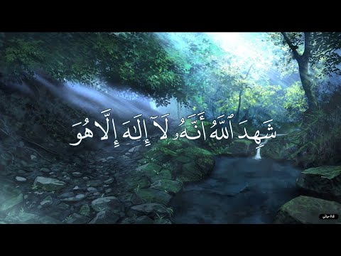 شهد الله أنه لا إله إلا هو حالات واتس اب دينية فارس عباد