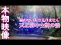 ⚠️神回※もし逃したら二度とありません※アメノミナカヌシ様が降臨しました｜星田妙見宮遠隔参拝166