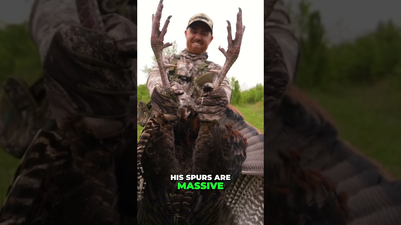 Biggest Turkey Hunt Victory! Celebrating with Guardians Game! #shorts