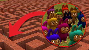 I GOT NEW COLORFUL LABUBU IN BIG MAZE In Garry