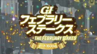 東京競馬〙第43回フェブラリーステークス(G1) - YouTube