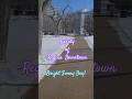 Beauty of Downtown Regina #shorts #regina #downtown #minivlog #march #winter #snow #nature #ms 216