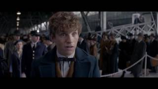 Фантастические твари и где они обитают 2016 HDRip 1080p Трэйлер на kinokong.net Фантастические твари и где они обитают 2016 HDRip 1080p Трэйлер на kinokong.net