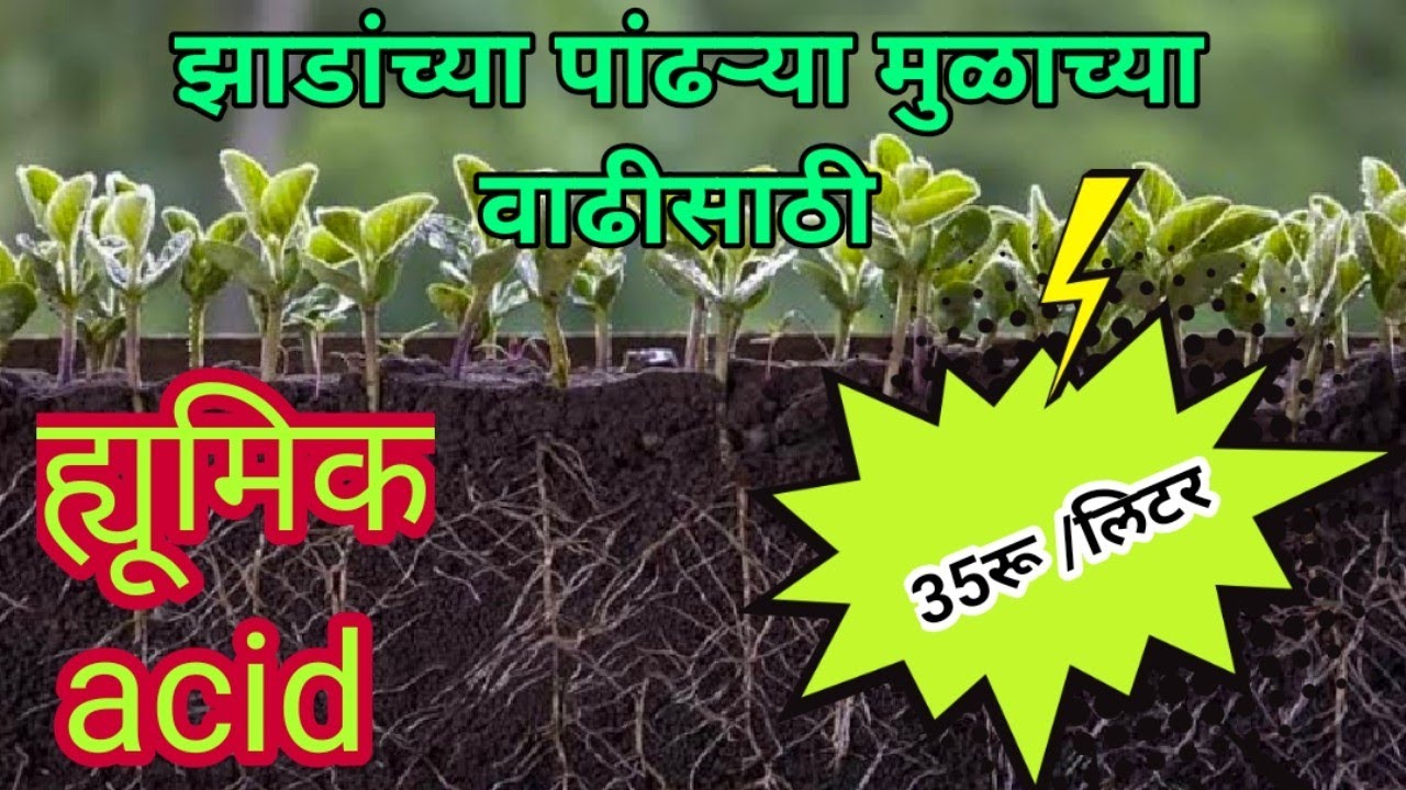 विज्ञान संत अंकुश पाटील तंत्रज्ञान HUMIC ACID कसे तयार करायचे /How make humic acid at low price 