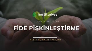 Fide Pişkinleştirme