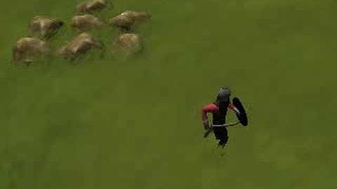 Real time grass shader