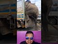 husband and wife fun comedy elephant Neeya Naana parithavangal 😂😂😂 #maniraja #shorts