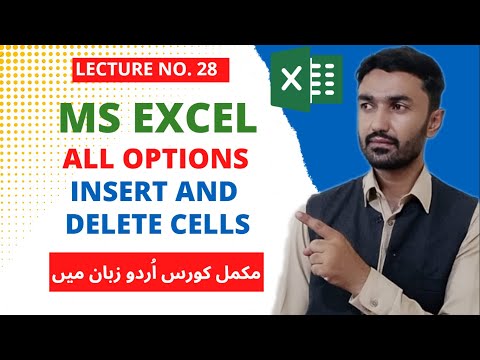 How To Insert & Delete Rows, Columns, Cells & Sheets In MS Excel In Hindi - Lesson 28