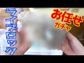 ガサガサ水槽のために形状おまかせライブロックMサイズをcharmで購入してみた【アクアリウム】