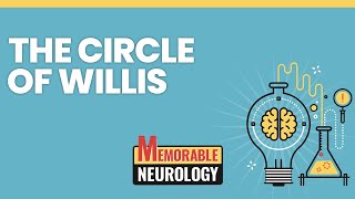Circle of Willis and Cerebral Blood Supply Mnemonics (Memorable Neurology Lecture 11)