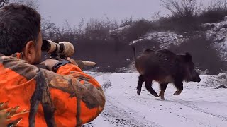 Ultimate BOAR HUNT Adventure in WINTER, EPIC Rifle Shots at Wild HOGS #hunting #wildlife