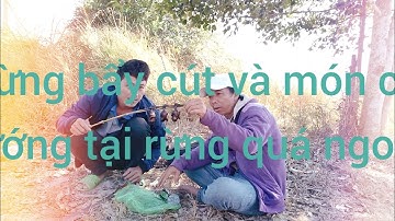 bảy cút trong rừng và món cút nướng quá ngon, Tuyên Tiger vlog