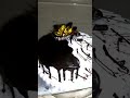 Easy chocolate marble cake for new beginners #shorts #marblecake #india