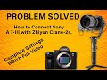 Sony A7 III Settings With Zhiyun Crane 2 S
