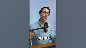 This AI Scribe is Smarter than You Think!