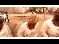 BADA CHONGO-Na yinga yinga(Official video hd)