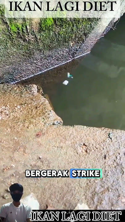 memancing ikan lele di selokan #mancingikanlelebesar #mancingikanlelesungai #videodubbing