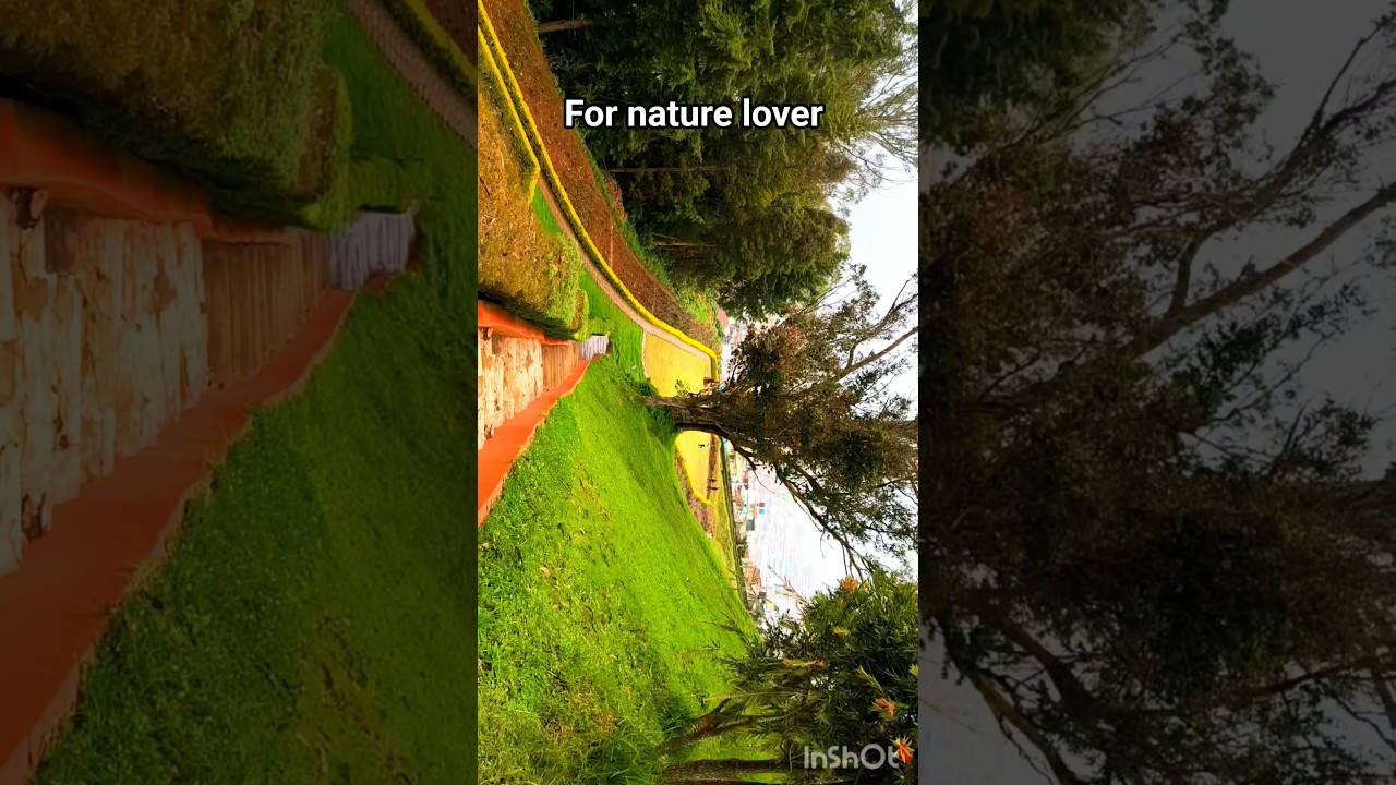 your time is limited satisfying your soul not society #naturelovers#naturephotography#naturesounds