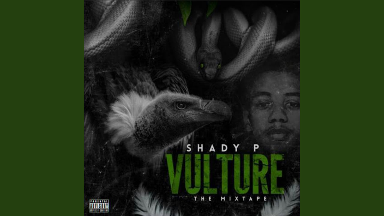 Vulture 