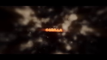 Intro For Gorilla or Quax